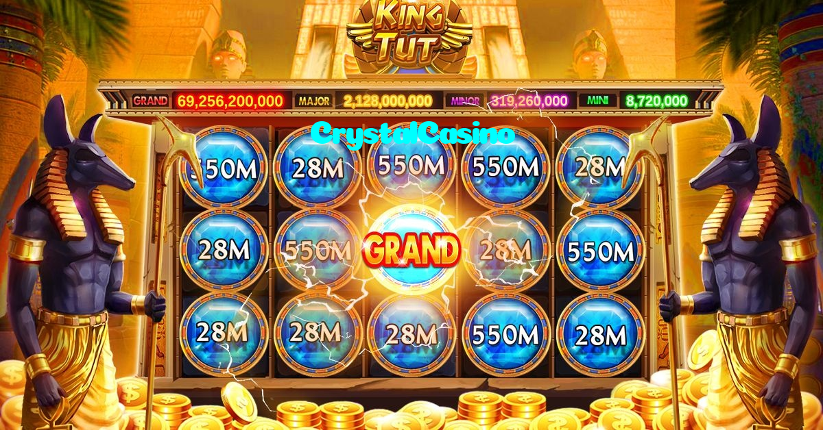 available types of CrystalCasino bet including pre-match live express and system bets
